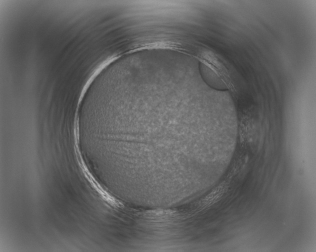 X0000055970804200509091442