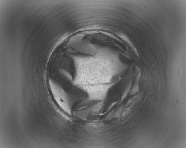 X0000055970805200509091442