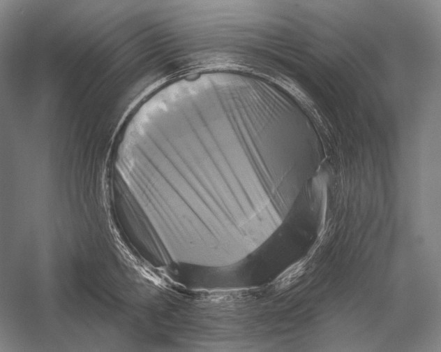 X0000055970806200509091442