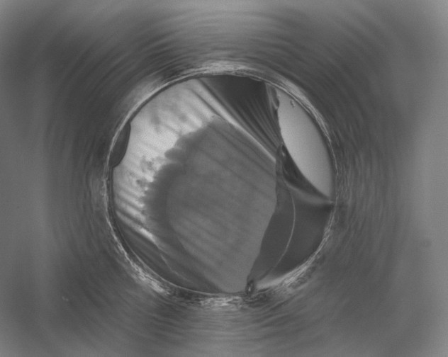 X0000055970810200509091442