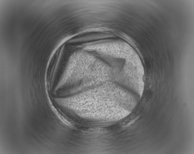 X0000055970811200509091442