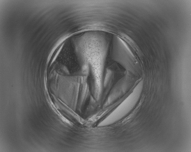 X0000055970812200509091442