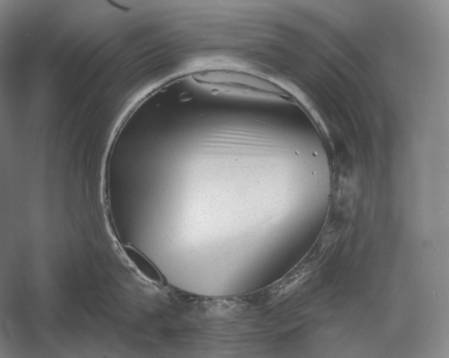 X0000055970815200509091442
