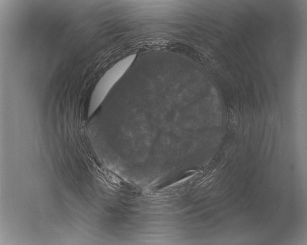 X0000055970818200509091441