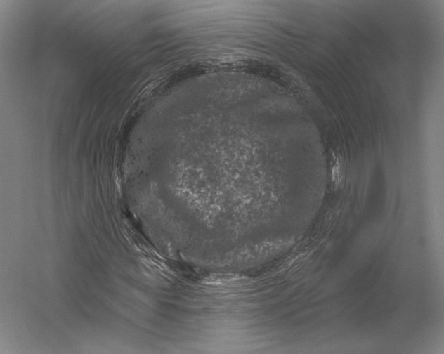 X0000055970819200509091441