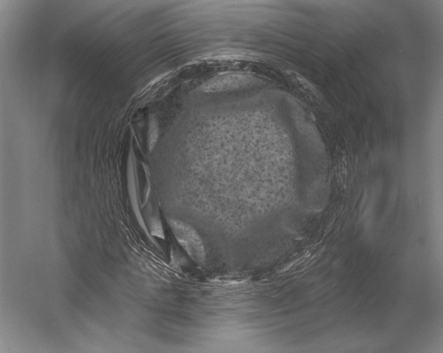 X0000055970821200509091441
