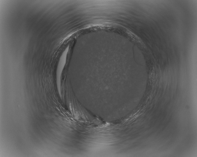 X0000055970822200509091441