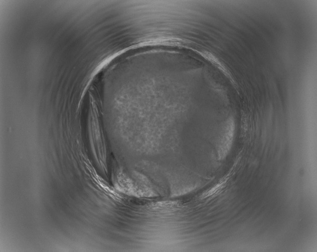 X0000055970830200509091442