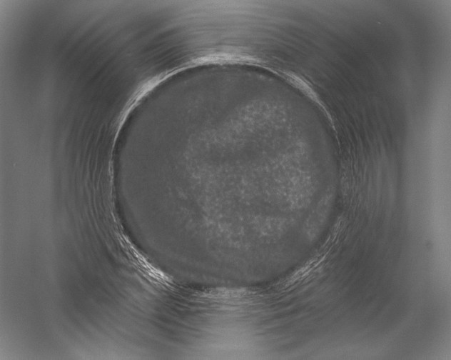 X0000055970831200509091442