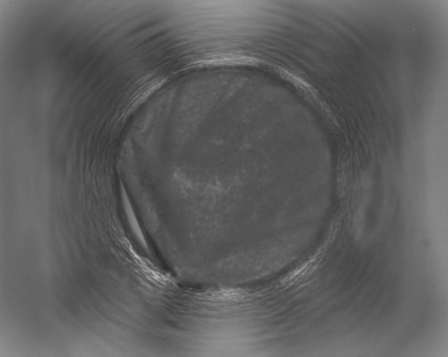 X0000055970833200509091442