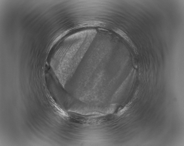 X0000055970834200509091442