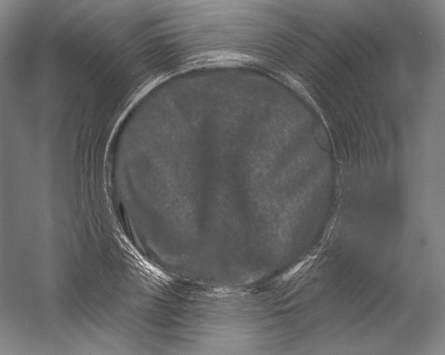 X0000055970835200509091442
