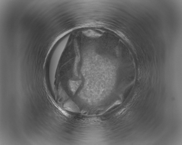 X0000055970838200509091442