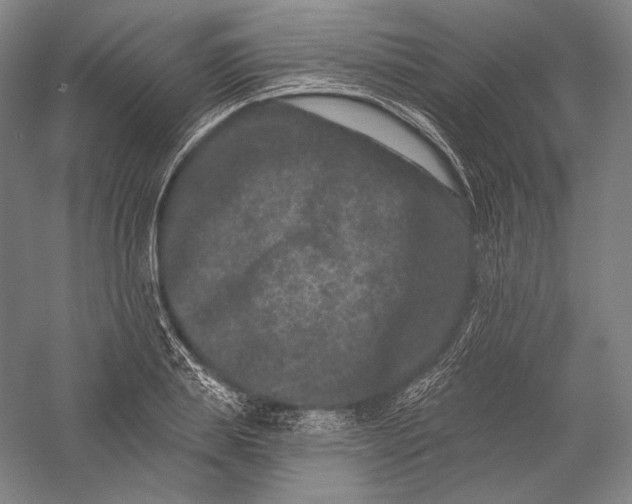 X0000055970839200509091442
