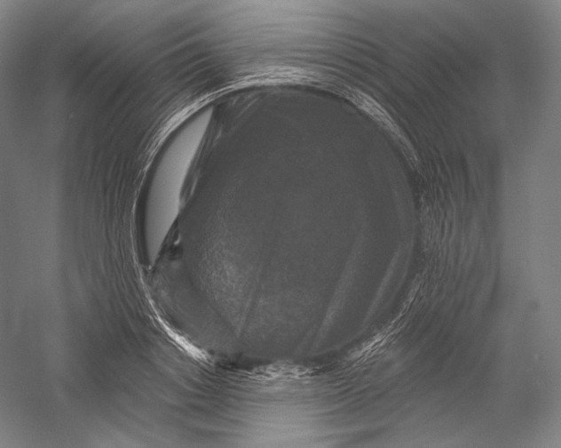 X0000055970842200509091442