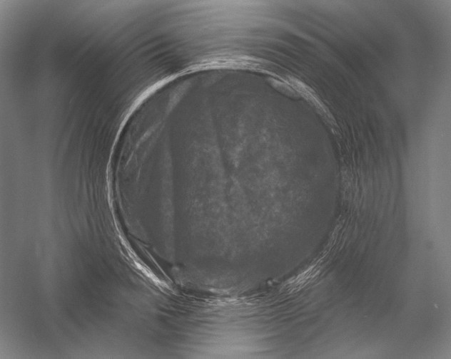 X0000055970846200509091442