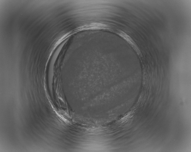 X0000055970850200509091442