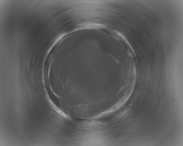X0000055970851200509091442