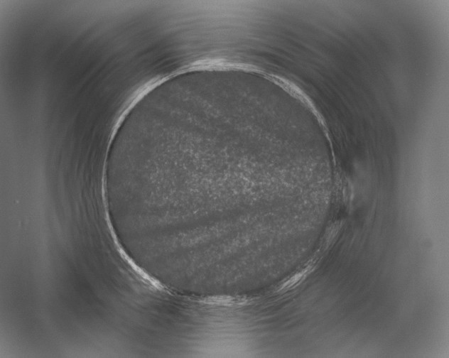 X0000055970855200509091442
