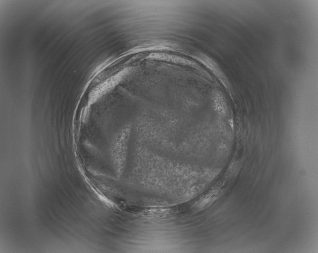 X0000055970858200509091442
