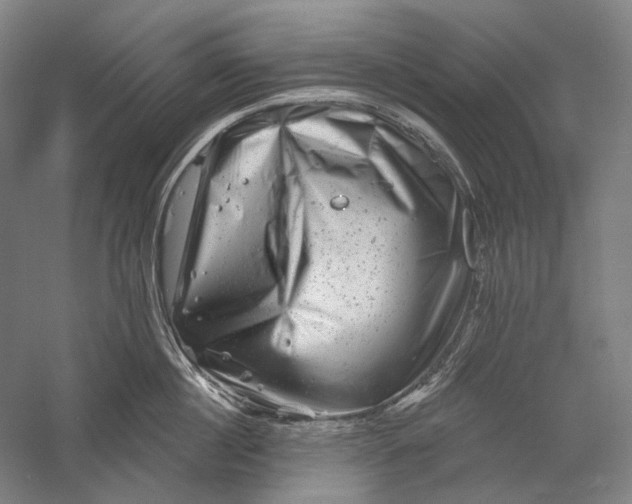 X0000055970860200509091442