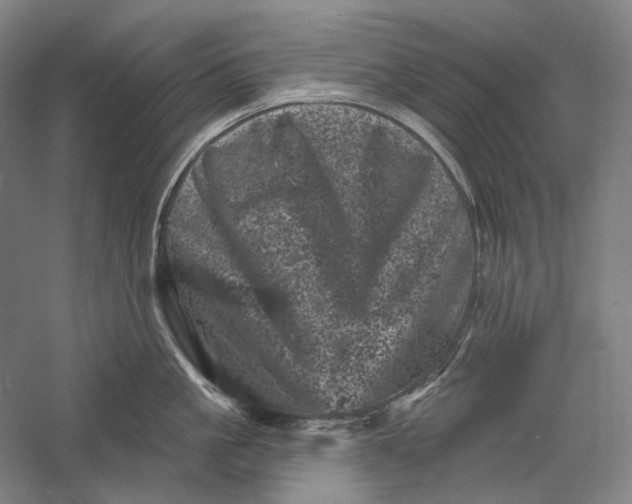 X0000055970861200509091442