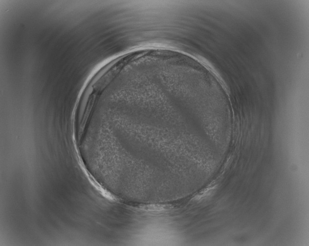 X0000055970862200509091442