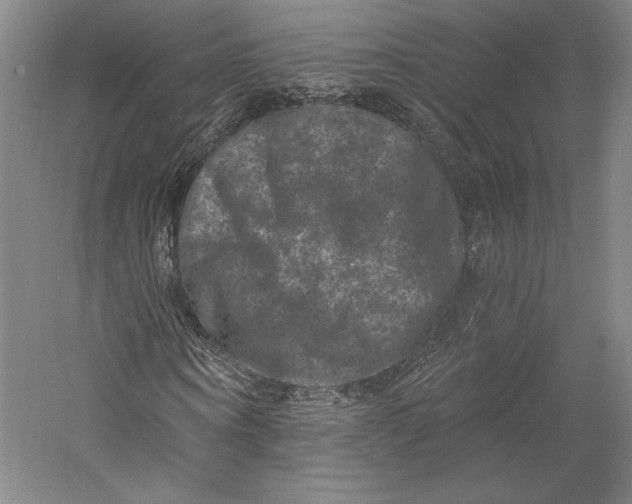 X0000055970866200509091441