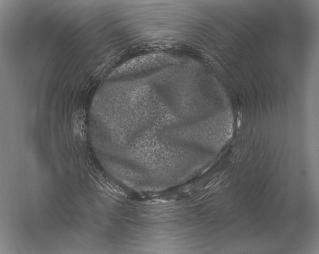 X0000055970867200509091441