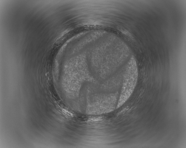 X0000055970870200509091441