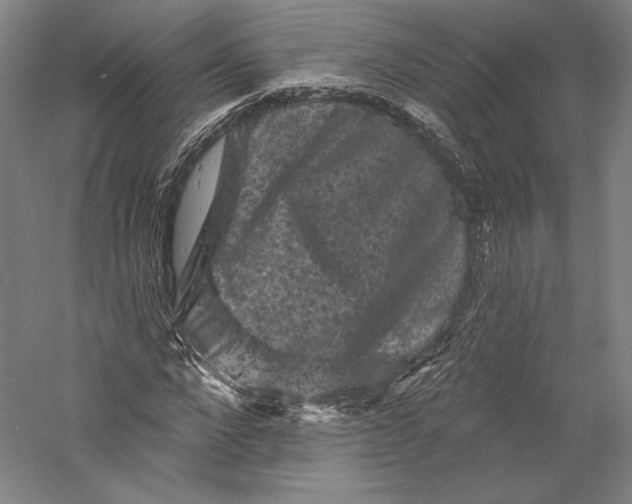 X0000055970872200509091441