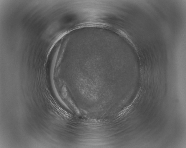 X0000055970875200509091441