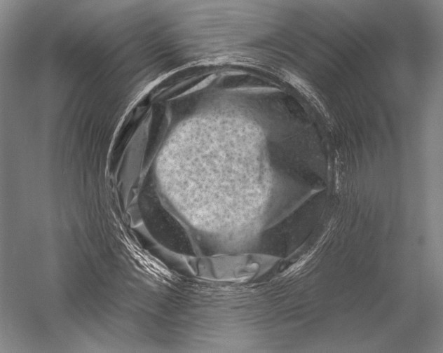 X0000055970876200509091441