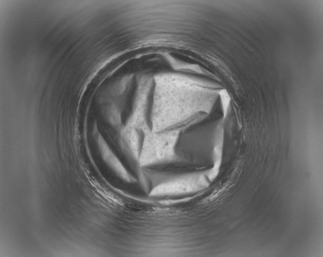 X0000055970880200509091441