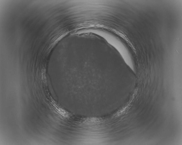 X0000055970881200509091441