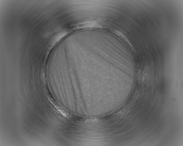 X0000055970882200509091441
