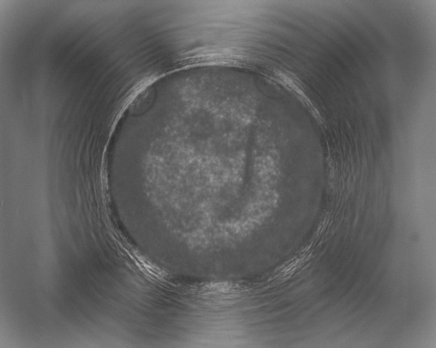 X0000055970883200509091441