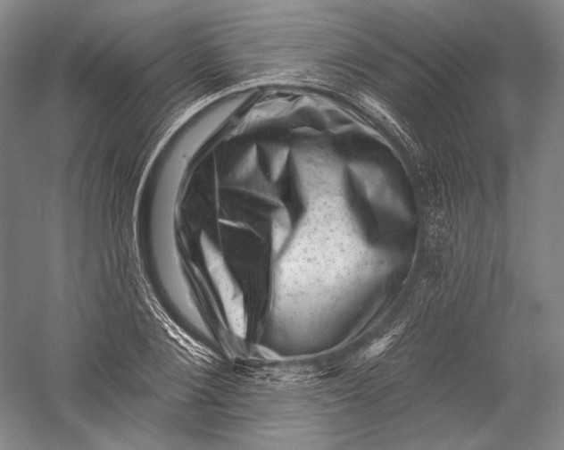 X0000055970884200509091441