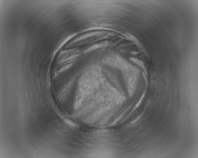 X0000055970885200509091441