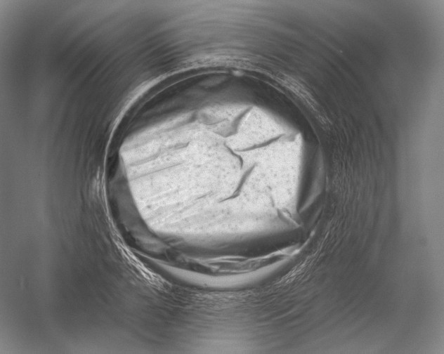 X0000055970888200509091441