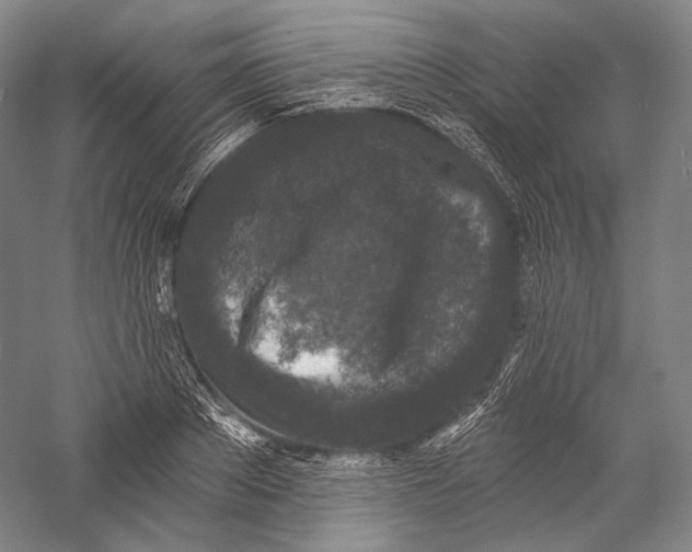 X0000055970889200509091441