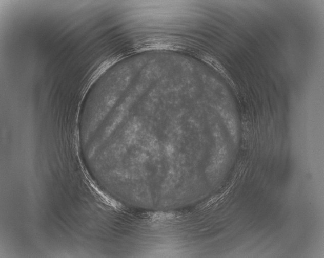 X0000055970890200509091441