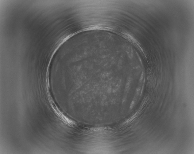 X0000055970892200509091441