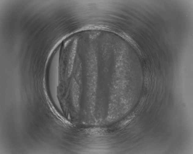 X0000055970896200509091441