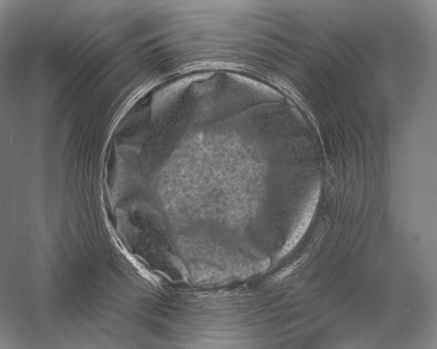 X0000055970898200509091441
