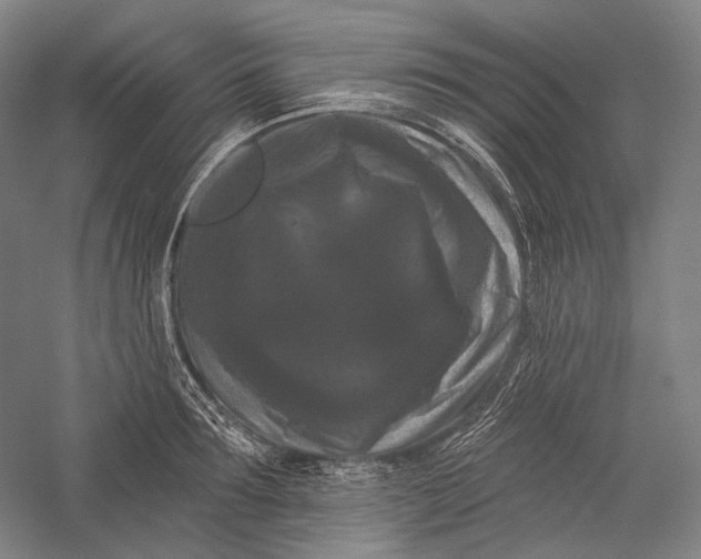X0000055970899200509091441