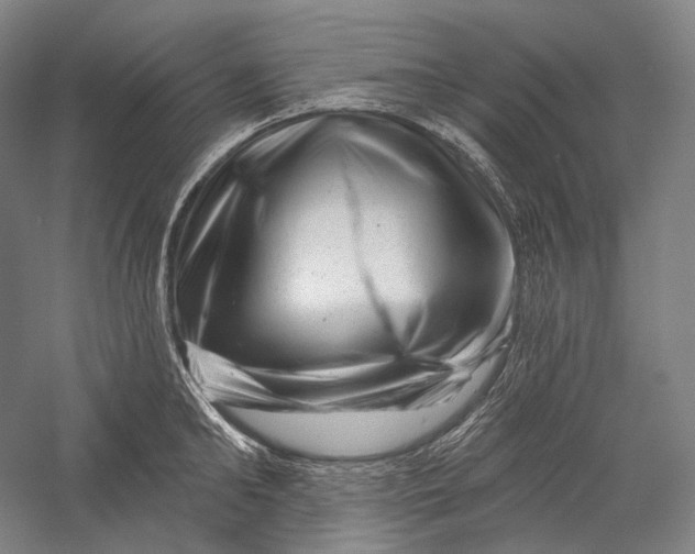X0000055970902200509091441