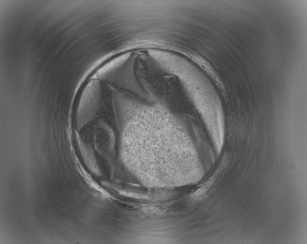 X0000055970904200509091441