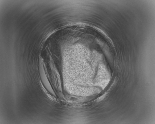 X0000055970905200509091441