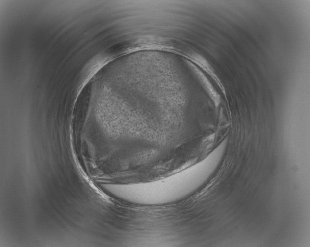 X0000055970906200509091441